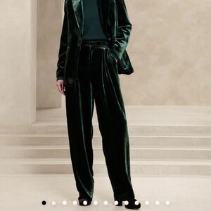 Gorgeous Norte Velvet Pants Banana Republic size 8